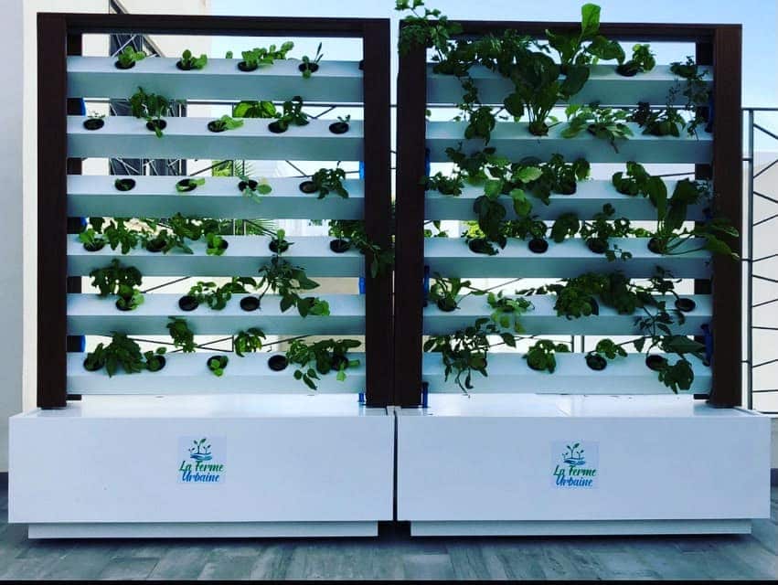 Deux jardinières murales hydroponiques blanches de marque La Ferme Urbaine
