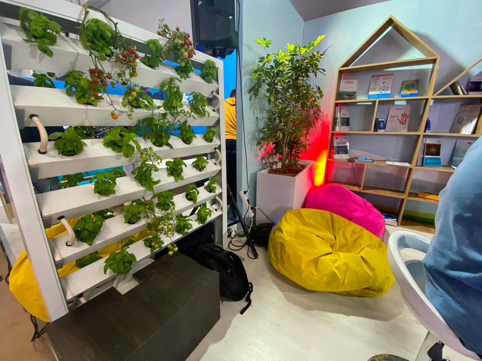 Mur végétal hydroponique d'intérieur avec basilic et tomates cerises