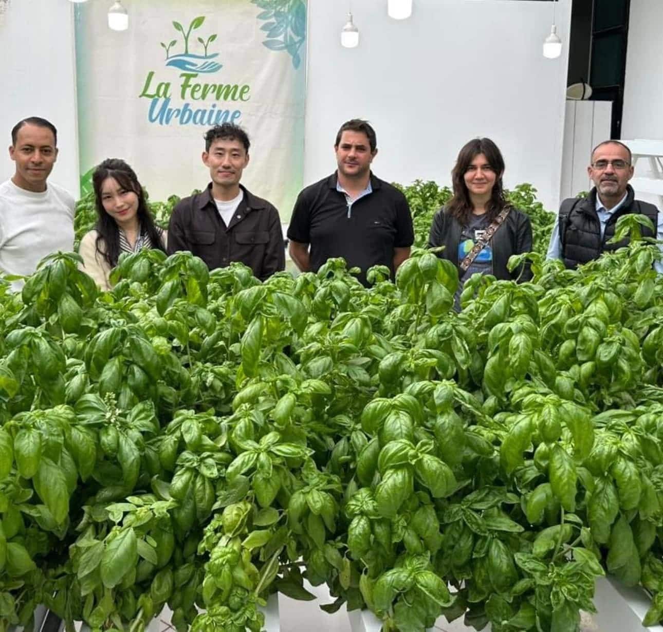 فريق La Ferme Urbaine مجتمعًا أمام إنتاج ريحان داخل بيت محمي